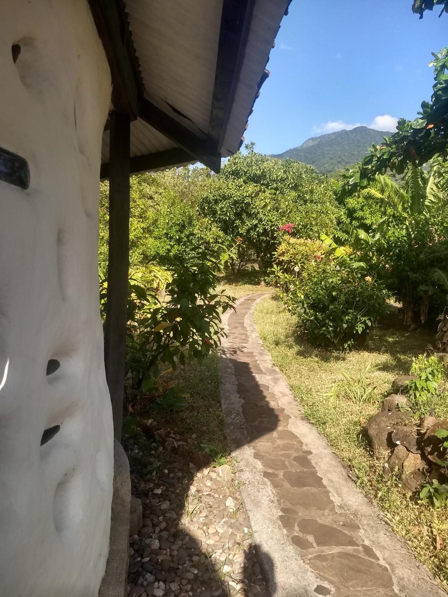 Finca Mystica Мерида Номер фото
