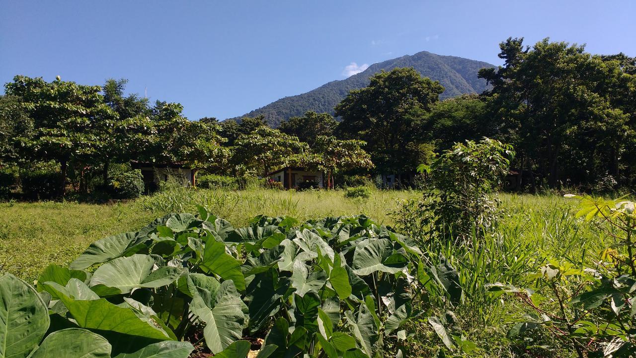 Finca Mystica Мерида Экстерьер фото