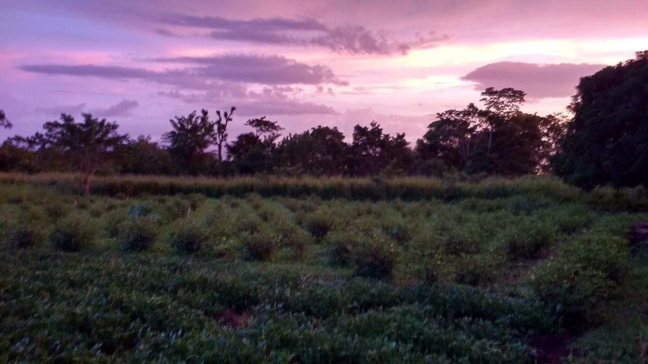 Finca Mystica Мерида Экстерьер фото